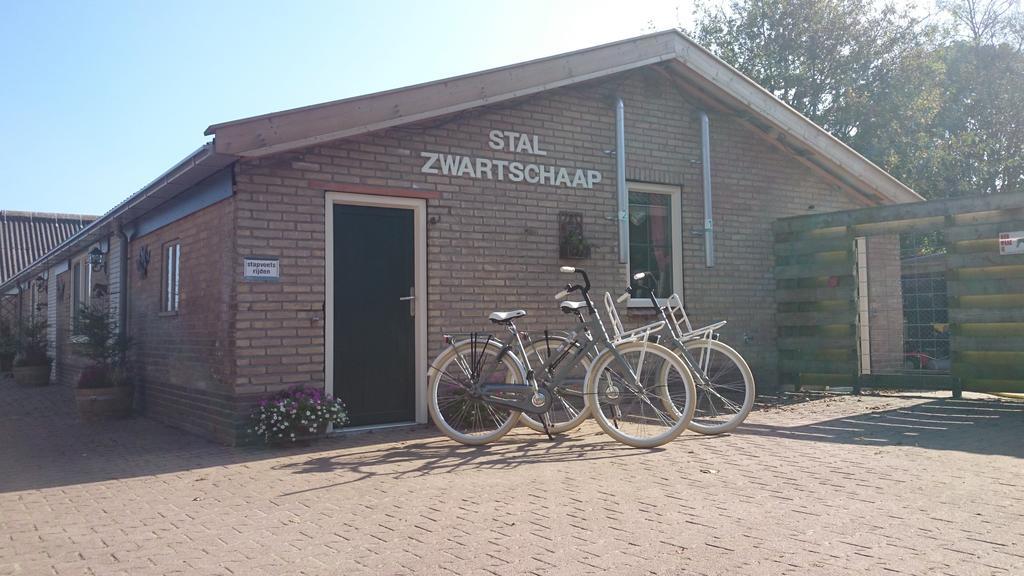 Stal Zwartschaap Leilighet Stuifzand Eksteriør bilde