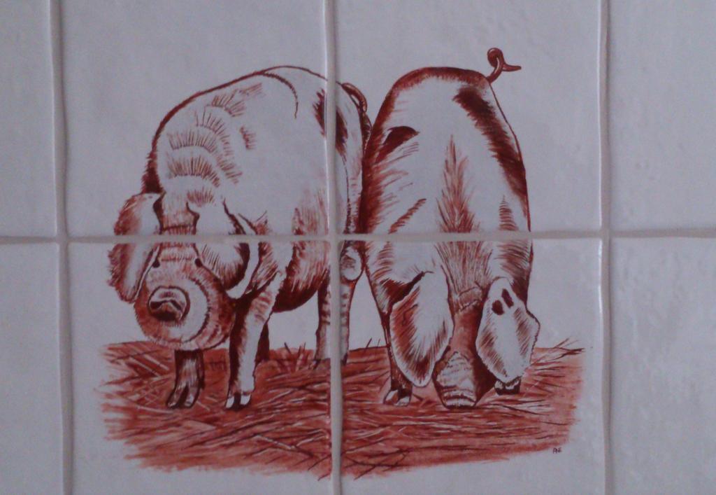 Stal Zwartschaap Leilighet Stuifzand Rom bilde