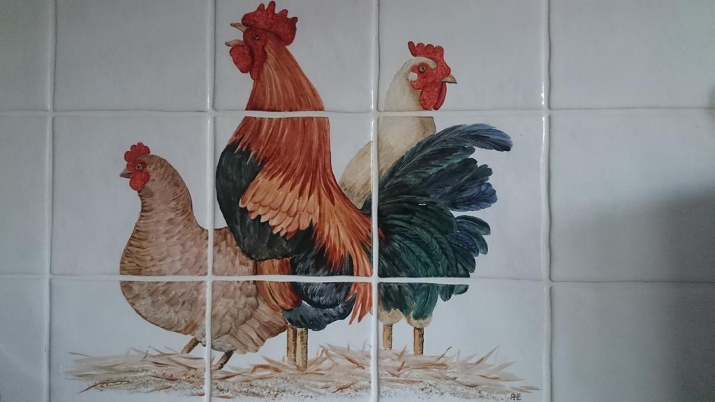Stal Zwartschaap Leilighet Stuifzand Rom bilde
